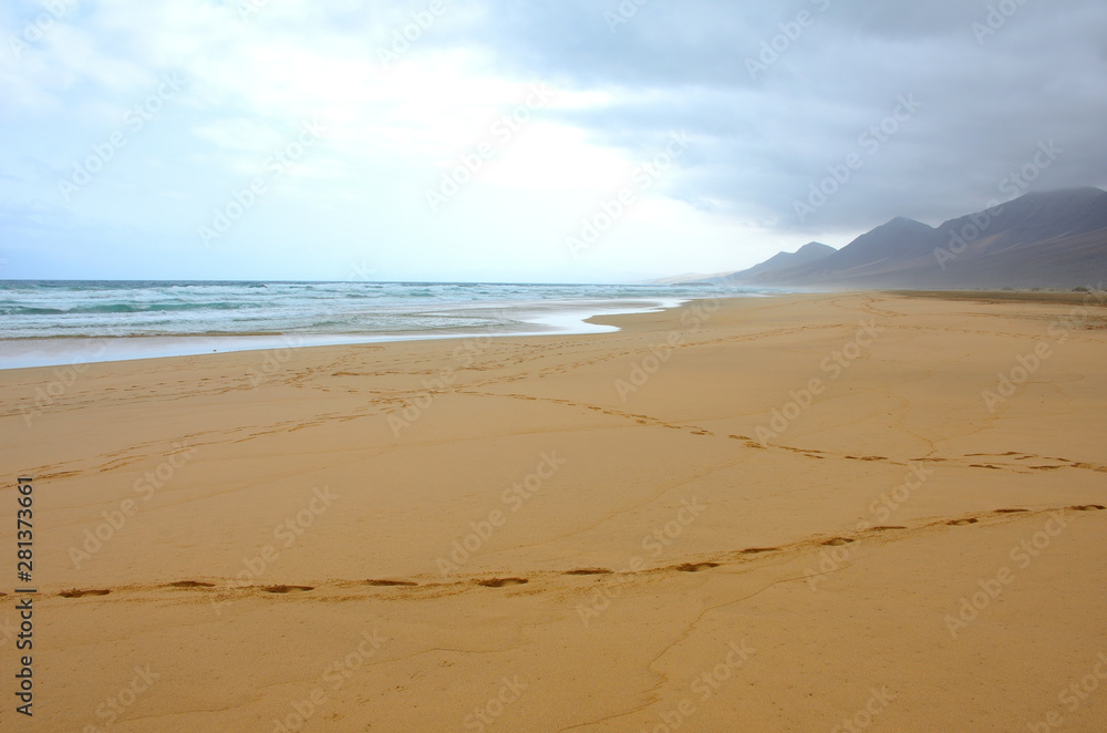Long and Empty Fine Sand Beach of El Cofete in Fuerteventura on a Cloudy Day 