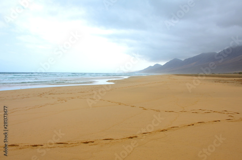 Long and Empty Fine Sand Beach of El Cofete in Fuerteventura on a Cloudy Day 