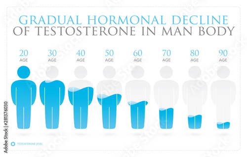 Vector Infographics of Changing Testosterone Levels in Men. Isolated on white background.