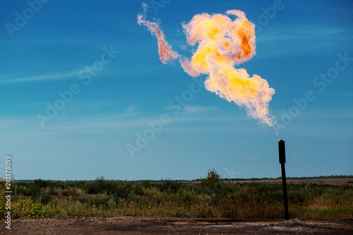 Fototapeta gas torch for oil production