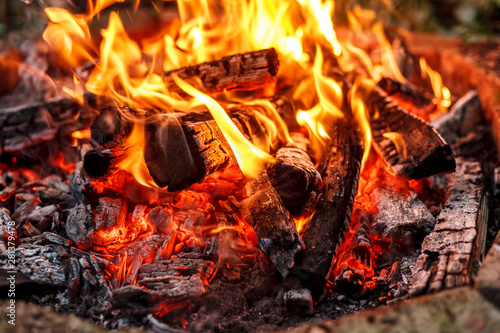 Macro shot of red hot embers of bonfire, selective focus