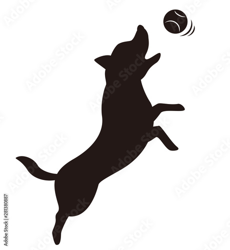 犬とボールアイコン