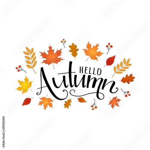 Hello autumn hand lettering phrase with autumn leaves. Templates for sale banners, flyers