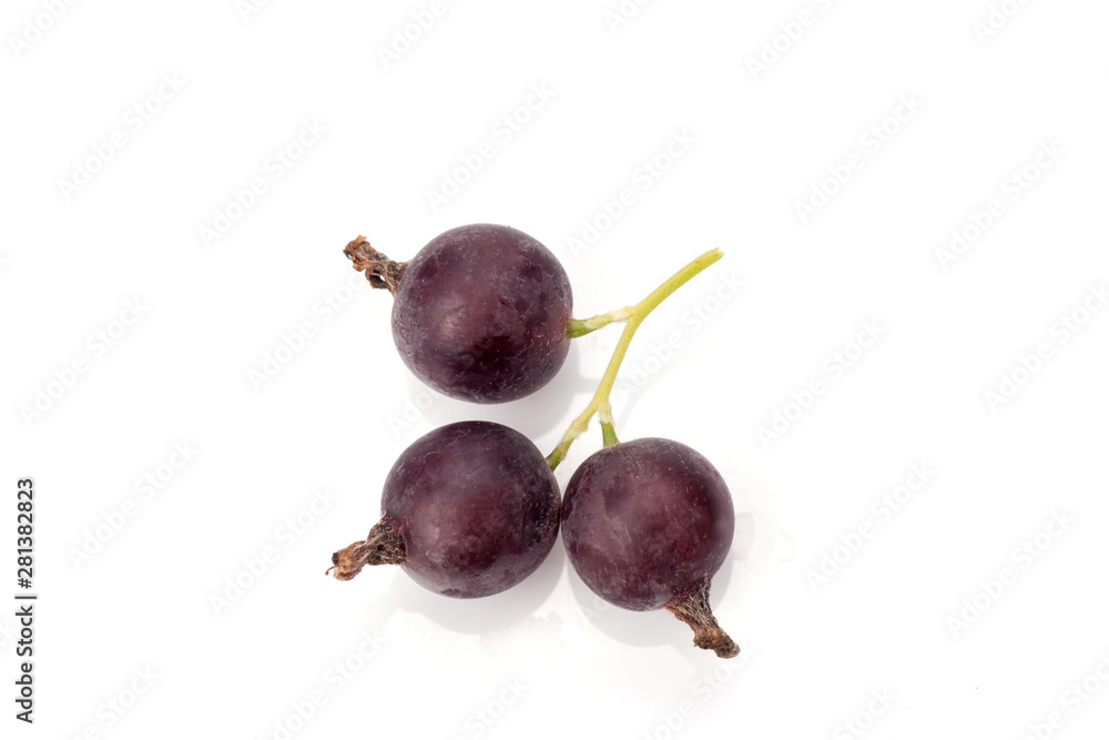black currant isolated on white background black currant isolated on white background