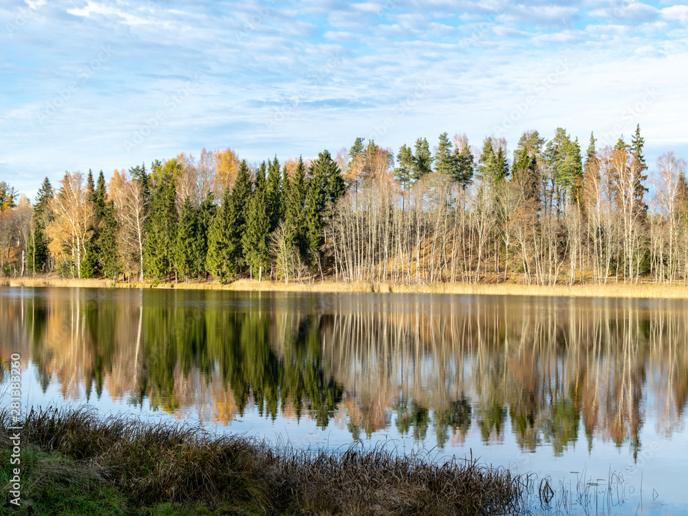 autumn forest with reflections in calm water -