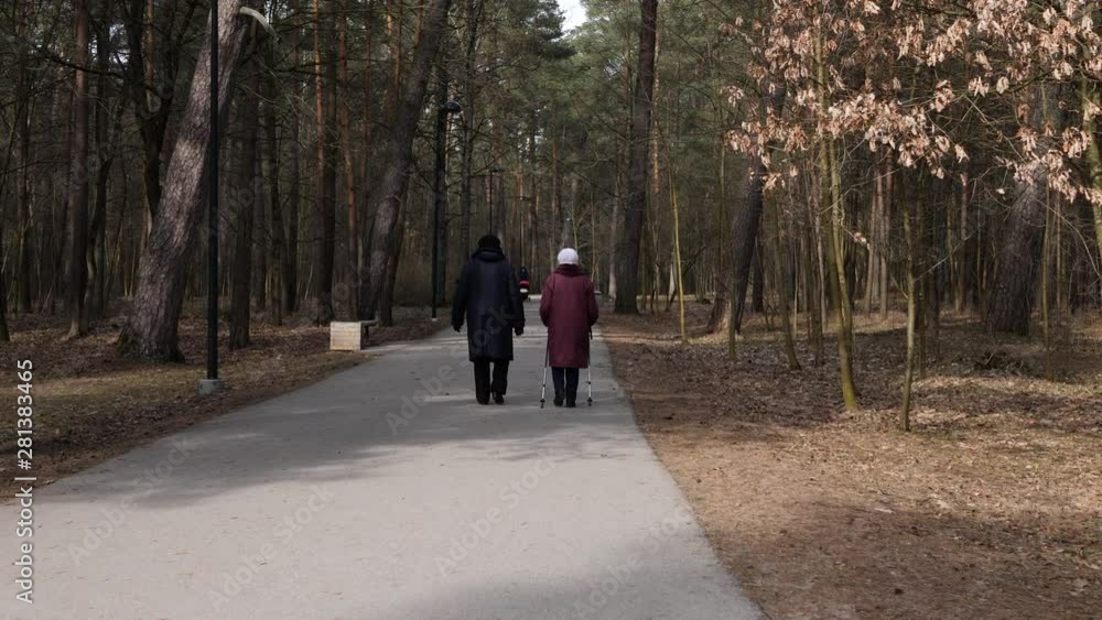 Old couple taking a walk in the park during autumn. Old couple taking a walk in the park during autumn.