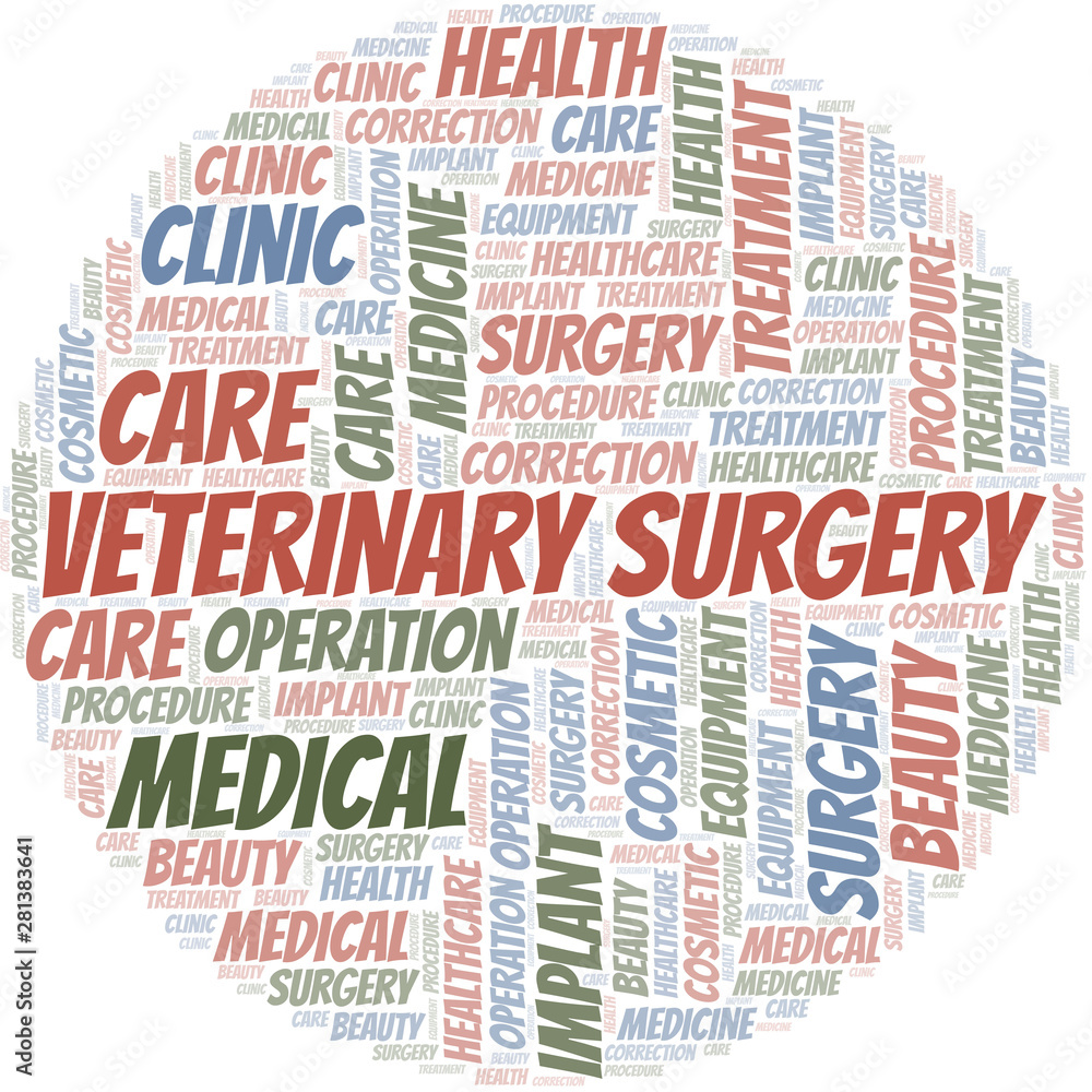 Veterinary Surgery word cloud vector made with text only. Veterinary Surgery word cloud vector made with text only.