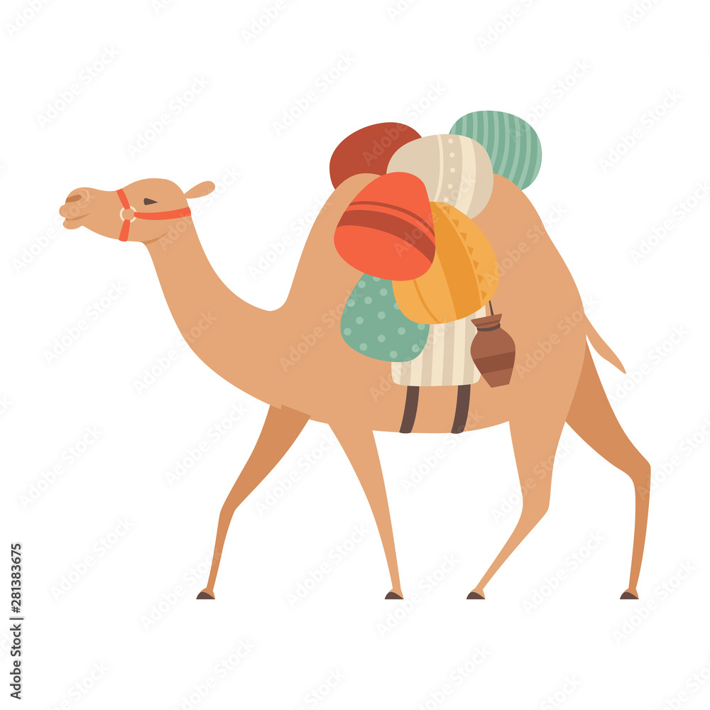 Camel with Bridle and Saddle, Desert Animal Carrying Heavy Load, Side View  Vector Illustration Stock Vector | Adobe Stock