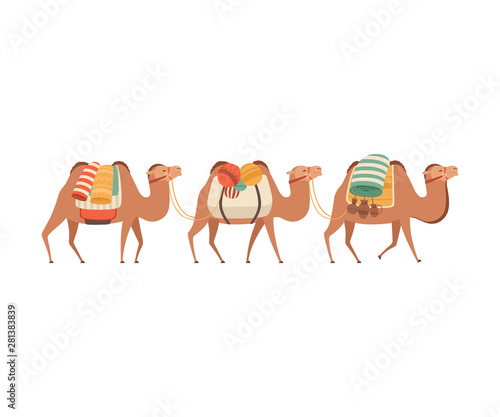 Caravan of Camels, Desert Animals Carrying Heavy Load, Side View Vector Illustration