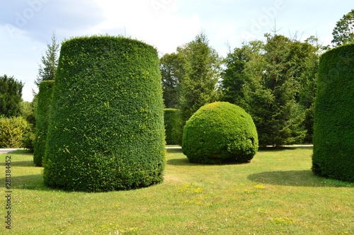 bushes as a sphere and cylinder cut, landscape architecture Vienna 2019