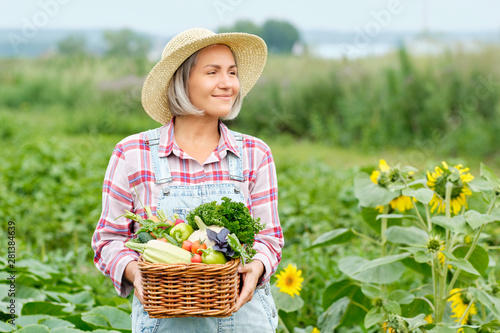 Cute Girl with a Basket Healthy Fresh Organic Vegetables. Harvest