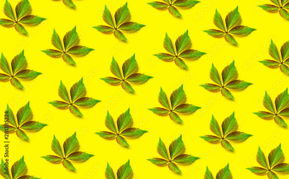 Green leaf trendy pattern on yellow background. Green leaf trendy pattern on yellow background.