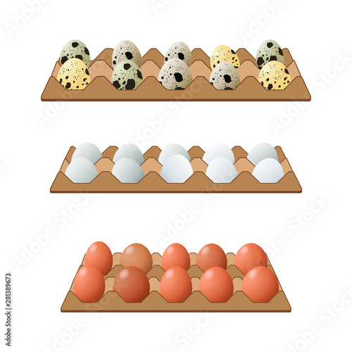 Vector food icon. Chicken and quail eggs brown and white color.An egg in the shell and box. Illustration in cartoon style.