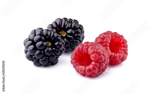 Raspberry with blackberries Isolated on White Background. Ripe berries isolated.