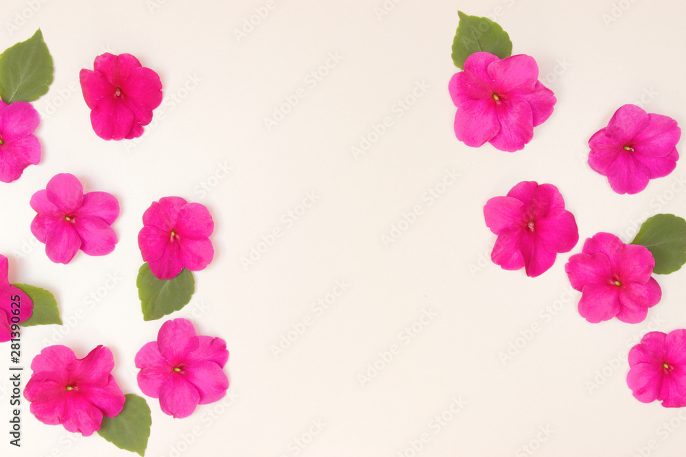 Blumenmuster, fleißiges Lieschen pinkfarben Blumenmuster, fleißiges Lieschen pinkfarben