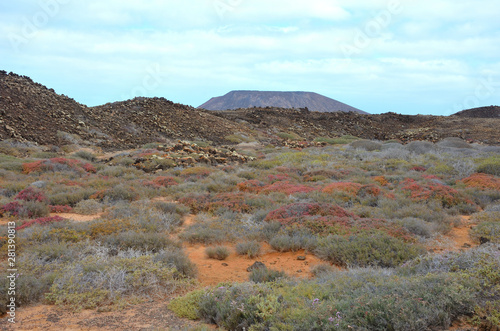 Desert Volcanic Landscape of Isla de Lobos in Canary Islands