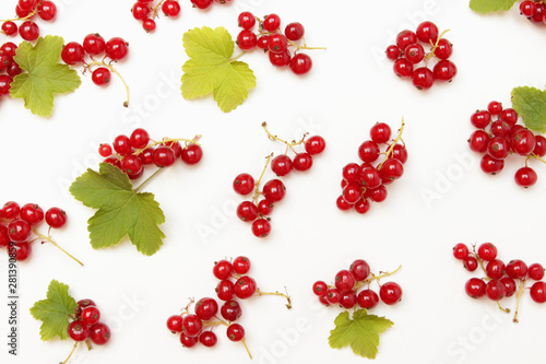 Pattern, Rote Johannisbeere