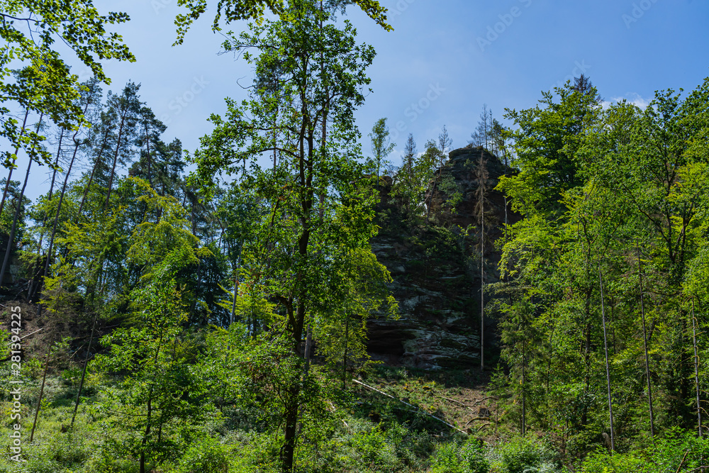 Fototapeta premium Rock landscape in Dahn Rockland