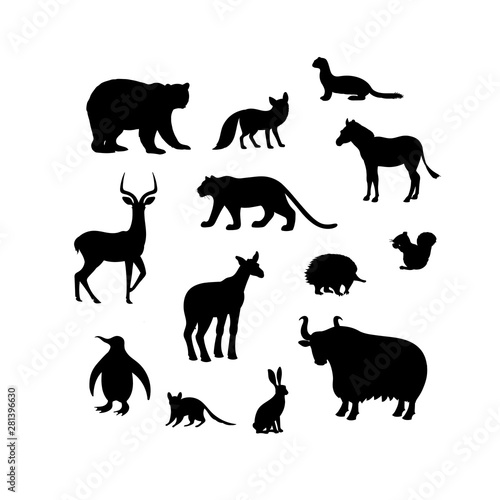 Set of animal silhouettes. Bear, fox, weasel, impala, tiger, zebra, penguin, okapi, echidna, squirrel, quoll, hare, yak