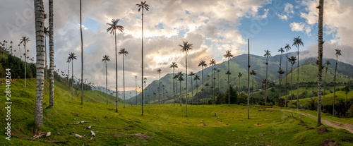 Panorama de la vallée de Cocora avec ses palmiers géant prés de Salento, Colombie photo