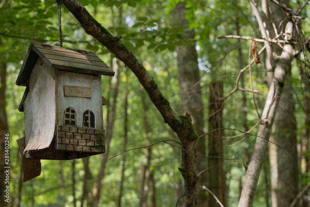 small birdhouse in a tree