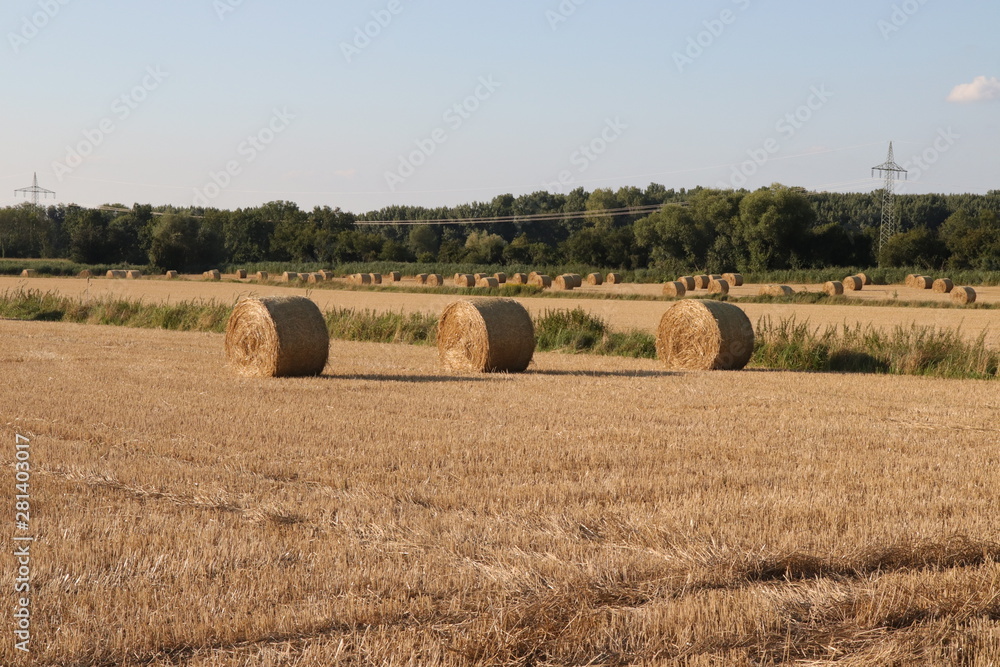 Ein Feld mit Hauballen