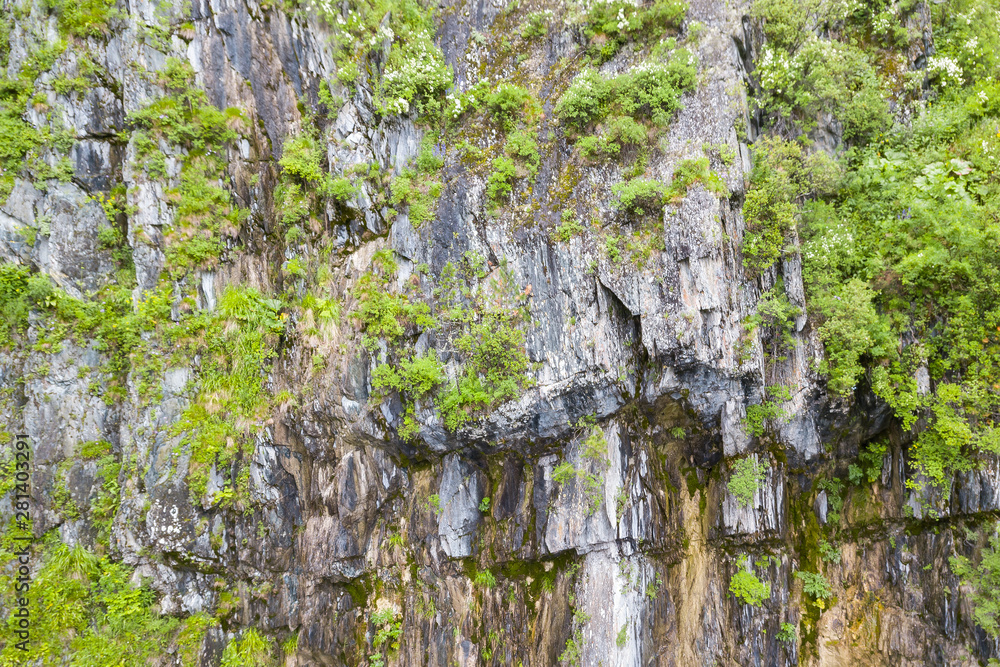 Close-up on a mountain with stones on which grow green shrubs and trees on a warm summer day Close-up on a mountain with stones on which grow green shrubs and trees on a warm summer day