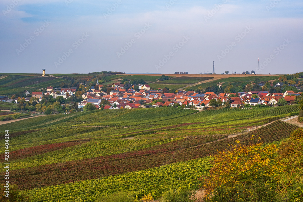 Blick auf die Weinberge in Rheinhessen/Deutschland im Herbst