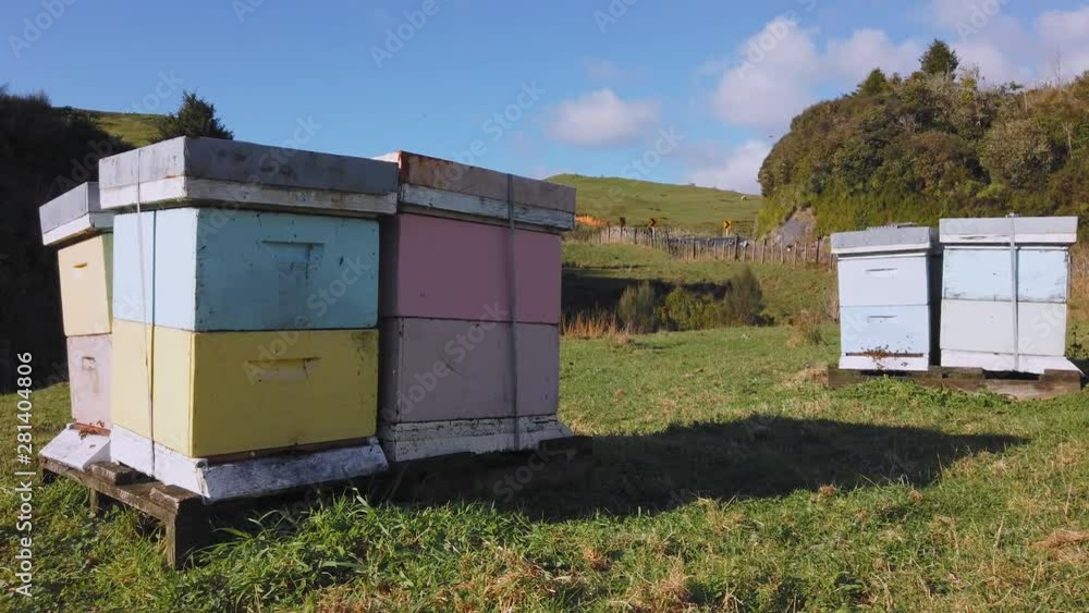 Colourful farmland honey beehive boxes Colourful farmland honey beehive boxes
