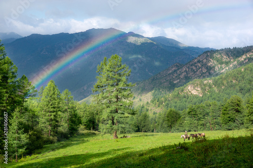 The nature in Altai Mountains photo