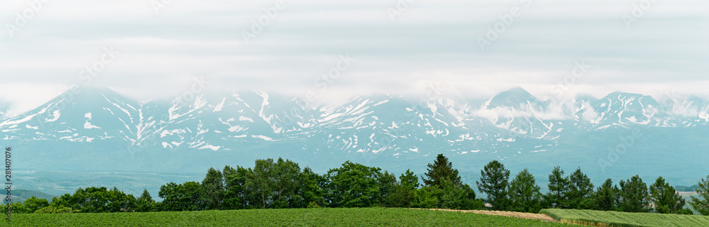 Obraz premium Beautiful panorama view of blue high mountain with the wide pine trees forest and blue sky and white cloud during winter season in Biei, Japan Hokkaido.