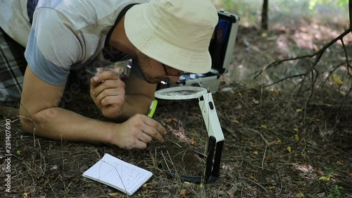 Caucasian entomologist studying a small anthill in the forest cheryl magnifying glass and take notes in his notebook, close-up photo