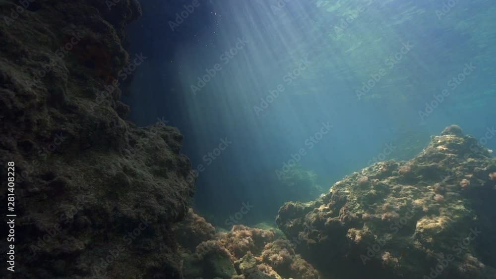 the rocky bottom of the Mediterranean Sea, the rays of the sun shimmer in the thickness of the sea water the rocky bottom of the Mediterranean Sea, the rays of the sun shimmer in the thickness of the sea water