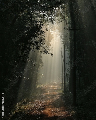 Morning in Western Ghat.