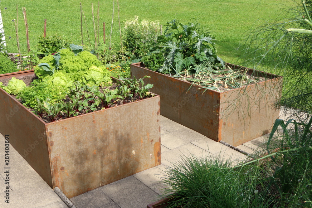 Foto de Gemüsegarten mit Hochbeeten aus Metall, verschiedene