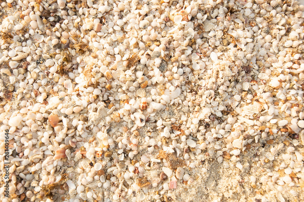 texture of sand from small corals and seashells peach beige white soft sunlight texture of sand from small corals and seashells peach beige white soft sunlight