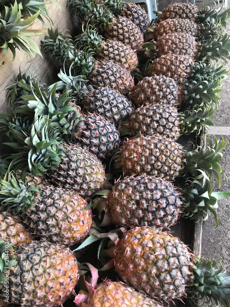 pineapples in the market