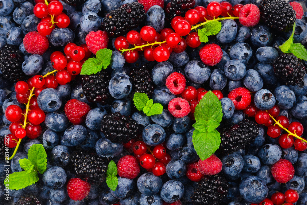 Blackberry, raspberry, blueberry, red currant and mint background. Blackberry, raspberry, blueberry, red currant and mint background.