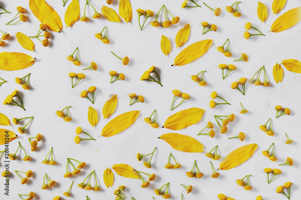 Obraz premium Autumn composition. Pattern made of leaves and flower on white background. Autumn, fall, thanksgiving day concept. Flat lay, top view, copy space.