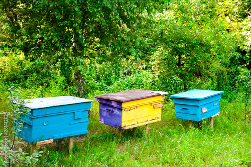 Colorful hives in apiary in a summer garden