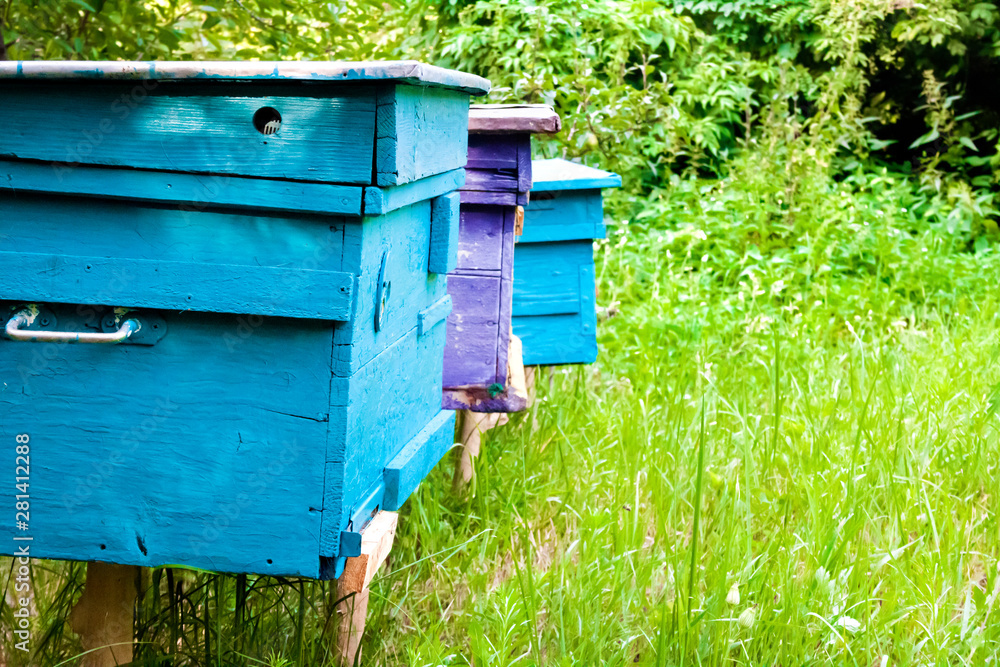 Colorful hives in apiary in a summer garden Colorful hives in apiary in a summer garden