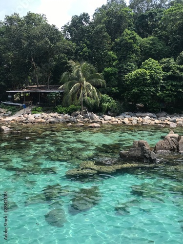 river in the jungle