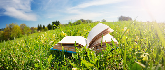 Open book in the grass on the field