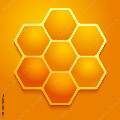 Vector realistic honey comb on orange background.