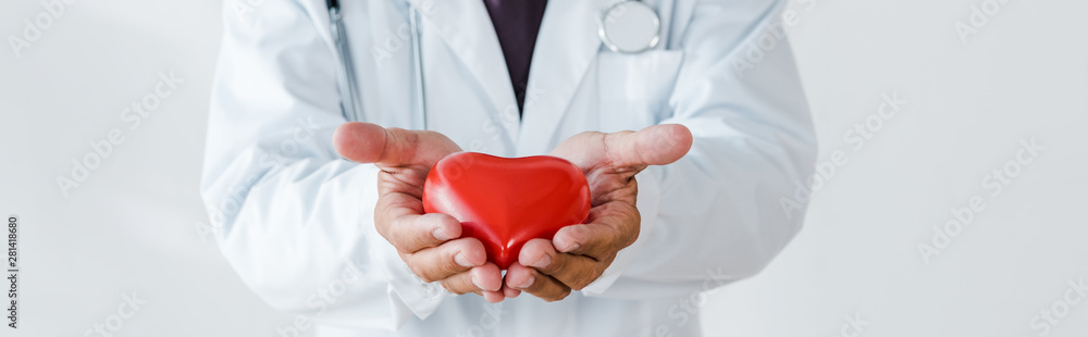 panoramic shot of doctor holding red heart model in hands on white panoramic shot of doctor holding red heart model in hands on white