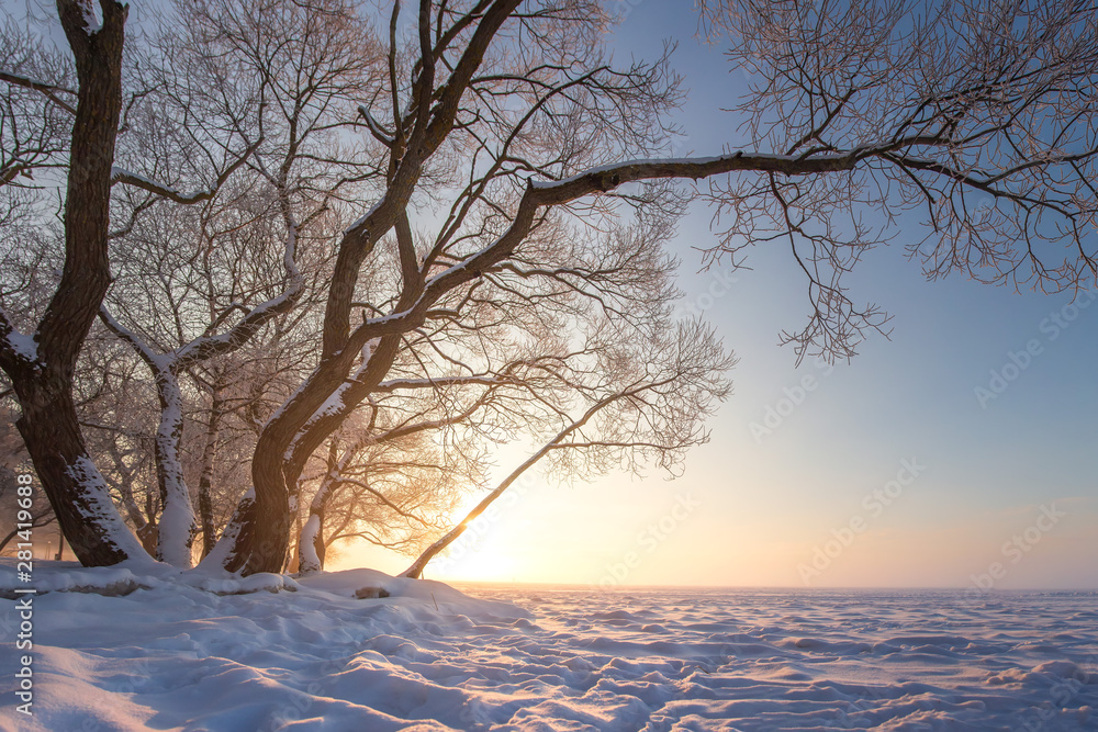 Beautiful winter nature in the clear evening. Snowy tree on icy river. Scenic winter landscape. Amazing christmas background Beautiful winter nature in the clear evening. Snowy tree on icy river. Scenic winter landscape. Amazing christmas background