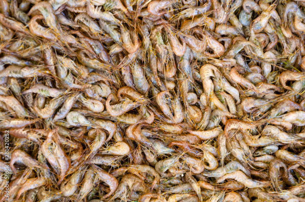 Background of fresh raw Black Sea shrimps. Shrimps, prawn, crustaceans on the market