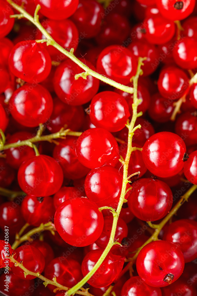 Ripe red currant berries in a bowl close up. Fresh ripe red currant on light grey background Ripe red currant berries in a bowl close up. Fresh ripe red currant on light grey background