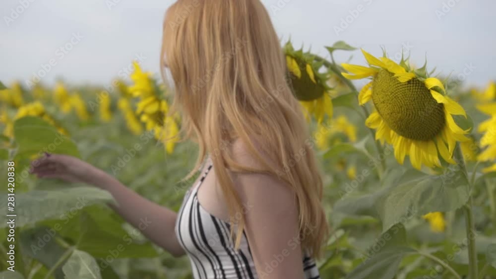 Man and woman walking on yellow sunflower field. Freedom concept. Happy woman outdoors. Harvest. Sunflowers field in sunset. Freedom concept. Happy teens outdoors. Slow motion. Man and woman walking on yellow sunflower field. Freedom concept. Happy woman outdoors. Harvest. Sunflowers field in sunset. Freedom concept. Happy teens outdoors. Slow motion.