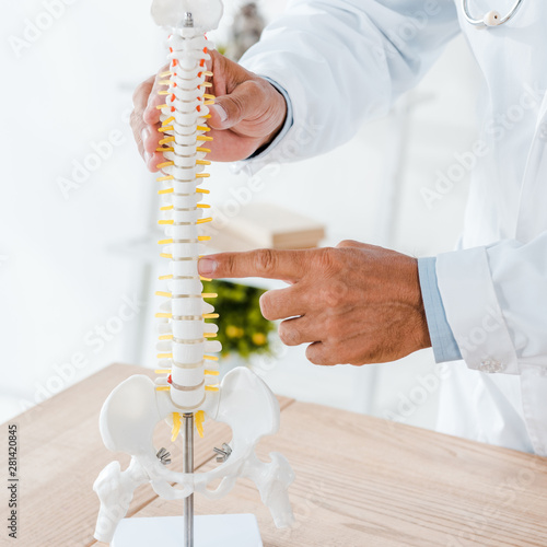 cropped view of doctor pointing with finger at spine model in clinic